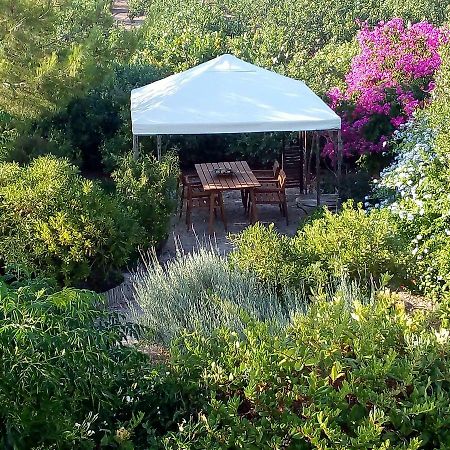 Aegina'S Oasis Villa ภายนอก รูปภาพ