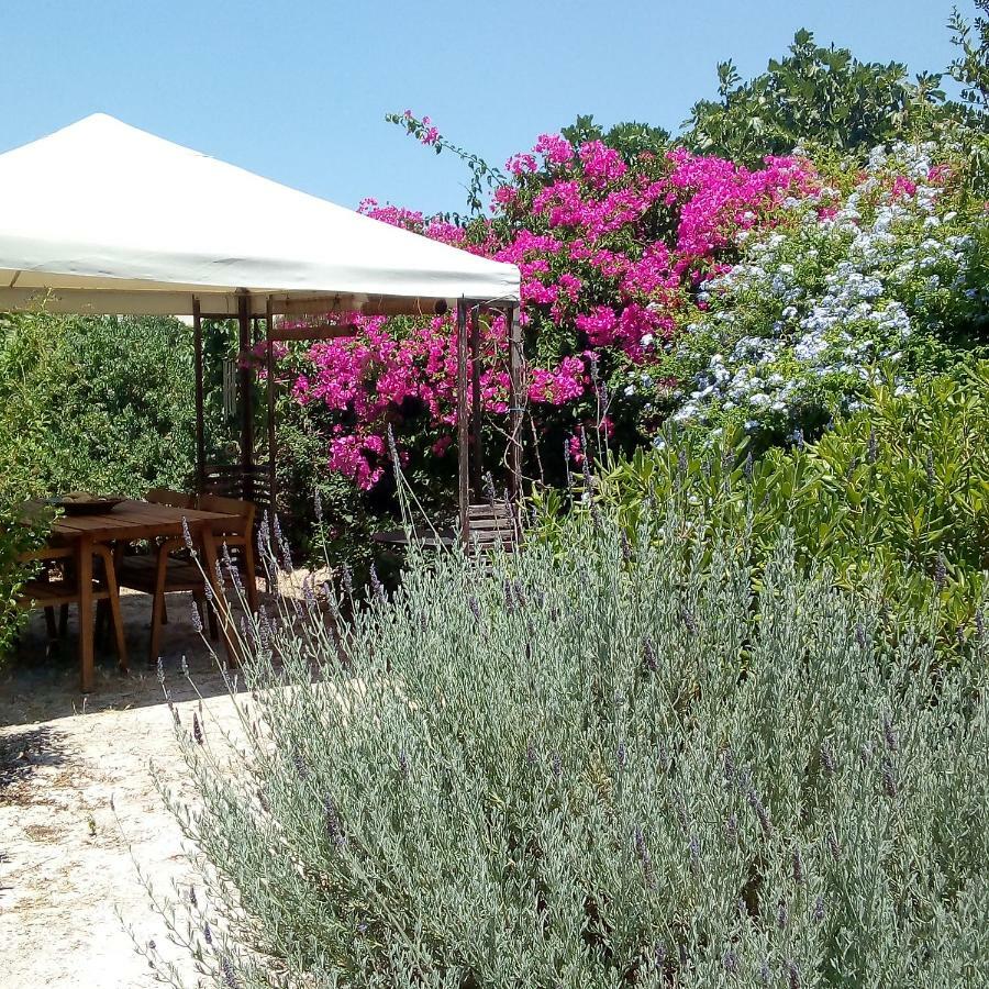 Aegina'S Oasis Villa ภายนอก รูปภาพ