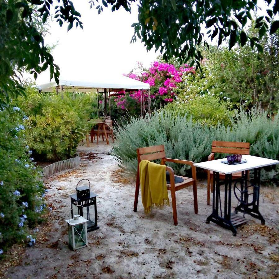 Aegina'S Oasis Villa ภายนอก รูปภาพ