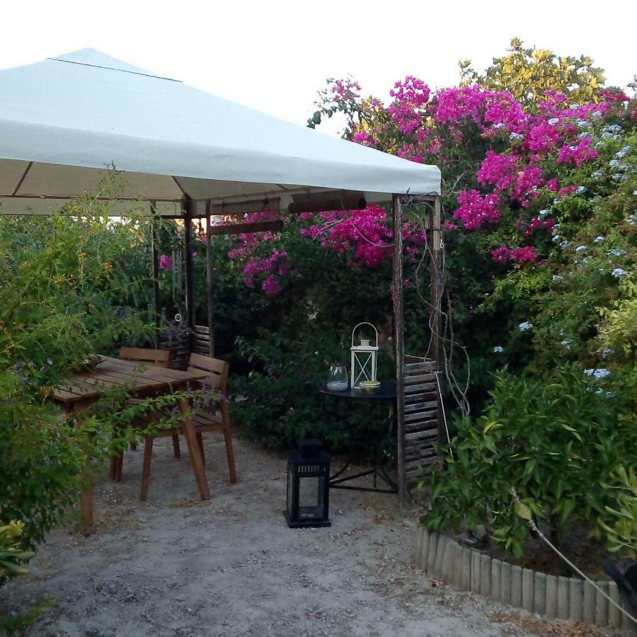 Aegina'S Oasis Villa ภายนอก รูปภาพ